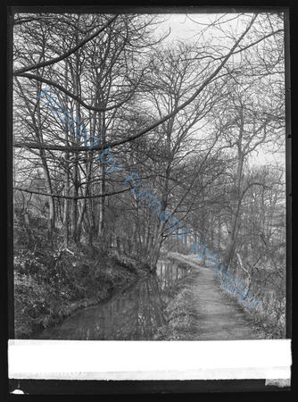Ennis Wood, Furness Abbey — Nowstalgia Gallery