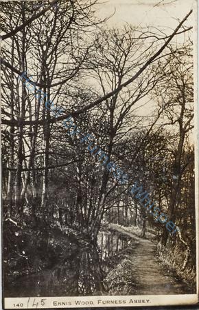 Ennis Wood, Furness Abbey — Nowstalgia Gallery