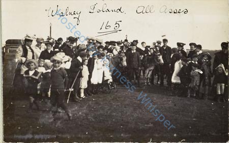 Walney Island. Donkey Rides — Nowstalgia Gallery