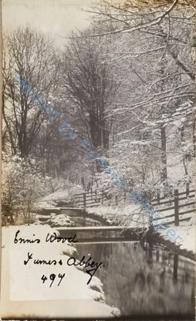 Ennis Wood, Furness Abbey — Nowstalgia Gallery