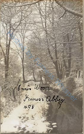 Ennis Wood, Furness Abbey — Nowstalgia Gallery