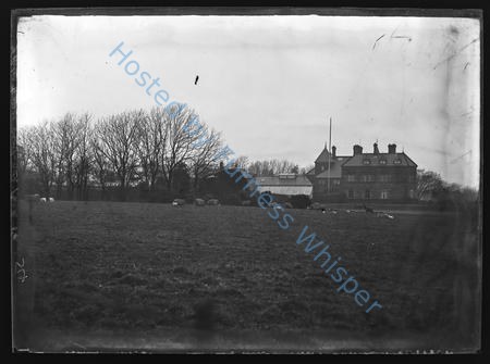 Croslands Park — Nowstalgia Gallery