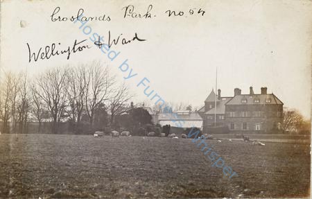 Croslands Park — Nowstalgia Gallery
