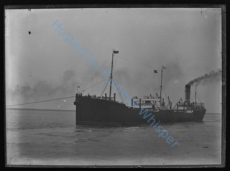 Cargo Steamer Pectan — Nowstalgia Gallery