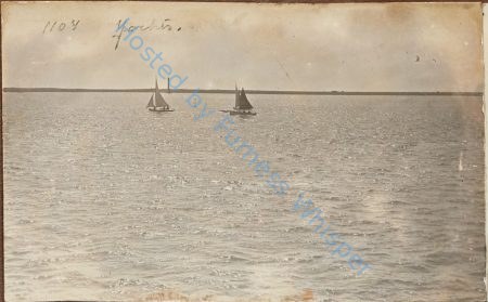 Pixie in Walney Channel — Nowstalgia Gallery