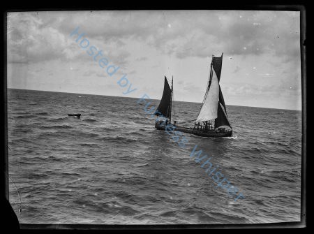 Sailing Cargo Coaster   (A Liverpool Flat) — Nowstalgia Gallery