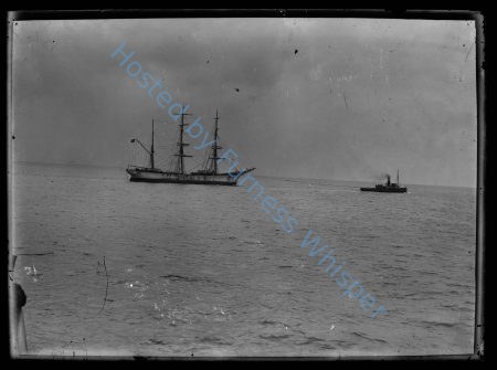 Barque Bertha — Nowstalgia Gallery