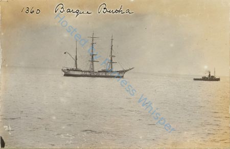 Barque Bertha — Nowstalgia Gallery