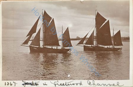 Sail Trawlers FD 68 (Wonder) and FD 111 (Harriet) — Nowstalgia Gallery