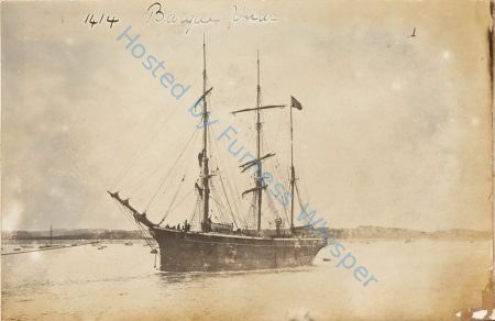 Barque Vikar — Nowstalgia Gallery