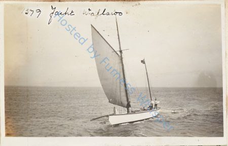 Yacht WALLAROO — Nowstalgia Gallery