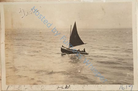 Small Open Yacht Thistle — Nowstalgia Gallery