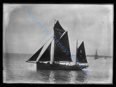 Sail Trawler FD21 White Rose — Nowstalgia Gallery