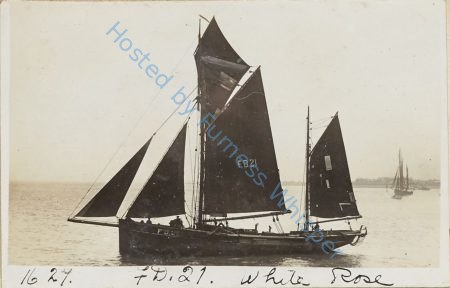 Sail Trawler FD21 White Rose — Nowstalgia Gallery