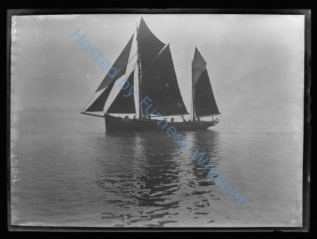 Sail Trawler FD99 Red Rose — Nowstalgia Gallery
