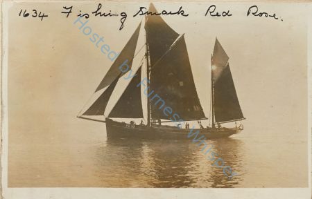 Sail Trawler FD99 Red Rose — Nowstalgia Gallery