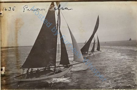 Prawner  AILSA — Nowstalgia Gallery