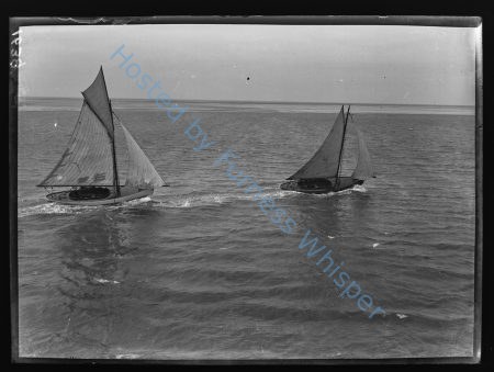 Sail Prawners — Nowstalgia Gallery