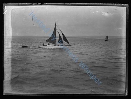 Sail Prawners — Nowstalgia Gallery