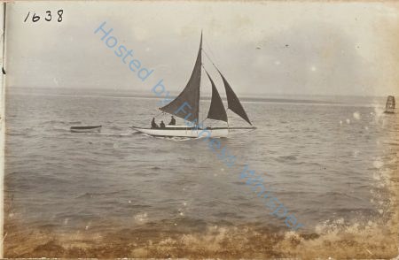 Sail Prawners — Nowstalgia Gallery