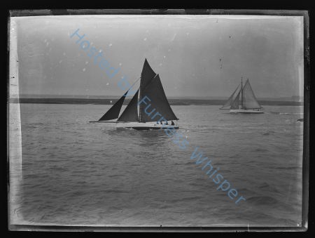 Sail Prawners — Nowstalgia Gallery