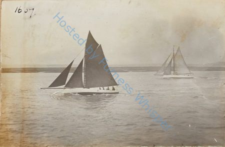Sail Prawners — Nowstalgia Gallery
