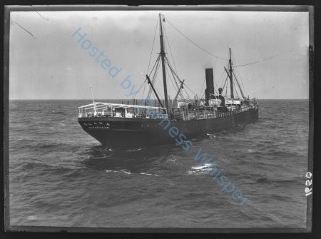 Steamer Clara — Nowstalgia Gallery