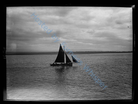Sail Prawn Fishing Boat FD183 — Nowstalgia Gallery