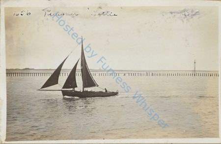 Sail Prawn Fishing Boat FD31 Lottie — Nowstalgia Gallery