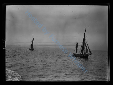 Sail Prawner FD162 William and John — Nowstalgia Gallery