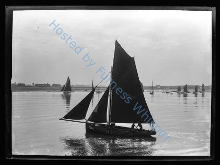 Sail Prawner FD184 Britannic — Nowstalgia Gallery