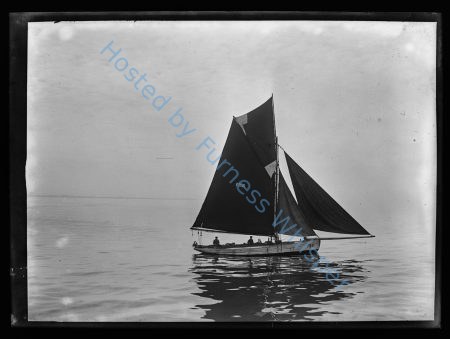 Sail Prawner FD91 Prima Donna — Nowstalgia Gallery