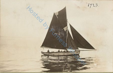 Sail Prawner FD91 Prima Donna — Nowstalgia Gallery