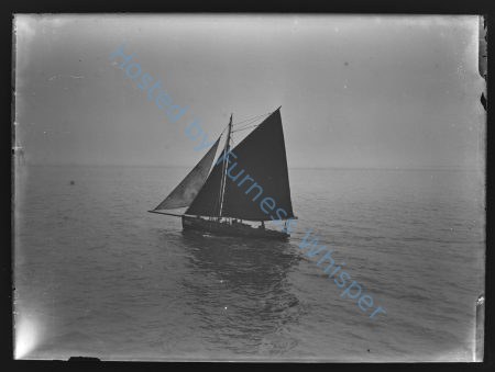 Sail Prawner FD202 — Nowstalgia Gallery