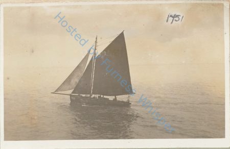 Sail Prawner FD202 — Nowstalgia Gallery
