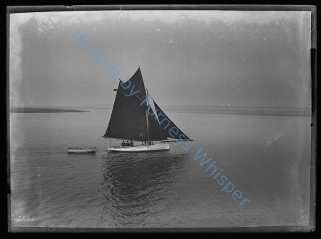 Yacht Rose — Nowstalgia Gallery