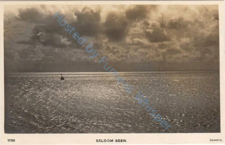 Seldom Seen — Nowstalgia Gallery