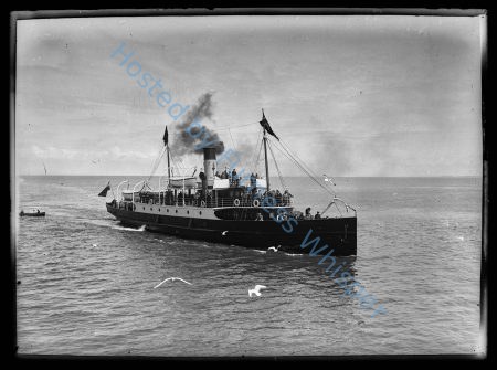 Steamer Robina — Nowstalgia Gallery