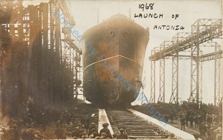 Launch of Antonia — Nowstalgia Gallery