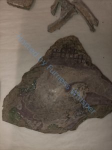 This Is What You’ve All Been Waiting For: The Rediscovery of Furness Abbey’s Stained Glass