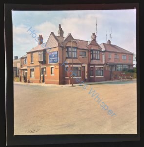 Bay Horse: A Pub Odyssey Through Time (and Spice!)