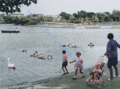 Barrow Park: A Tapestry of Time, Tranquillity, and Evolving Delights