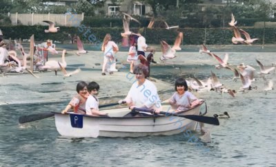 Barrow Park: A Tapestry of Time, Tranquillity, and Evolving Delights