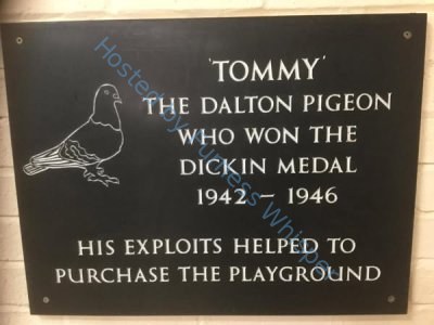 Furness Takes Flight: The Untold Story of Tommy the Pigeon, WWII Hero!