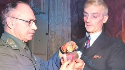 Furness Takes Flight: The Untold Story of Tommy the Pigeon, WWII Hero!