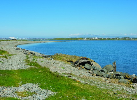 Image for The enigmatic tale of st. foulcain and foulney island