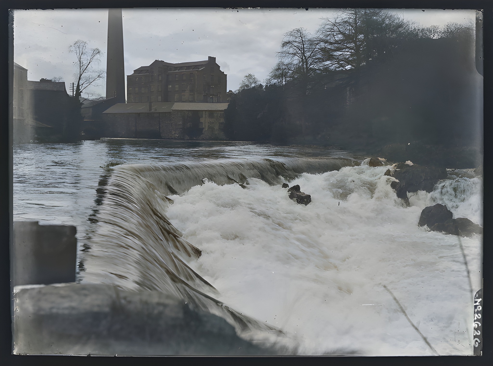 Image for Curious case of the dolly blue works from laundry disasters to a bright blunde