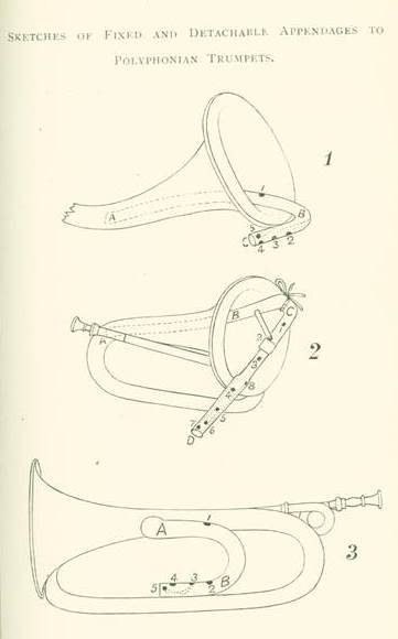 Fascinatingly Forgotten Polymath: Dr. William Close — Furness history