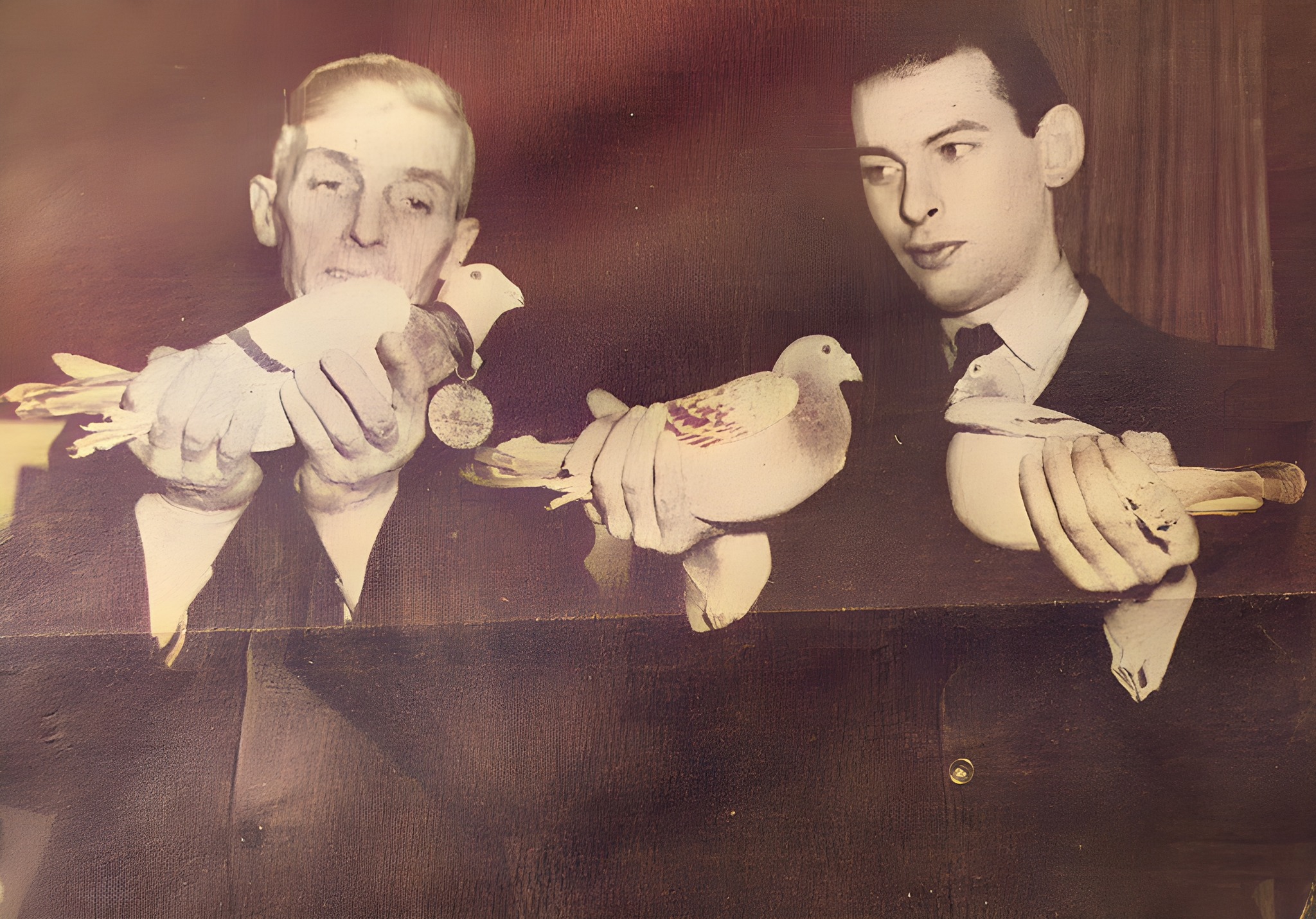 Furness Takes Flight: The Untold Story of Tommy the Pigeon, WWII Hero! — Furness history