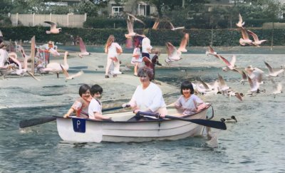 Barrow Park: A Tapestry of Time, Tranquillity, and Evolving Delights